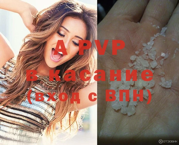 дживик Баксан