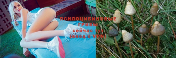 дживик Баксан