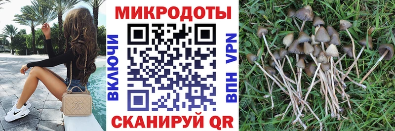 купить наркотик Короча Псилоцибиновые грибы GOLDEN TEACHER